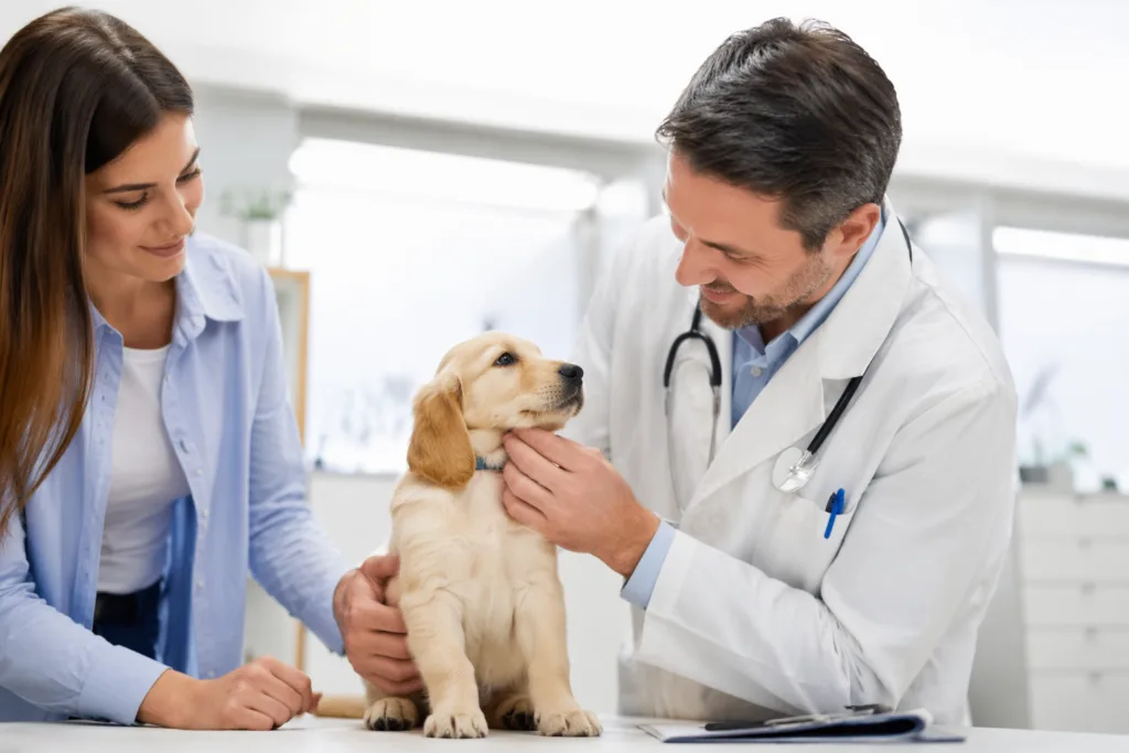 vacunas para perros